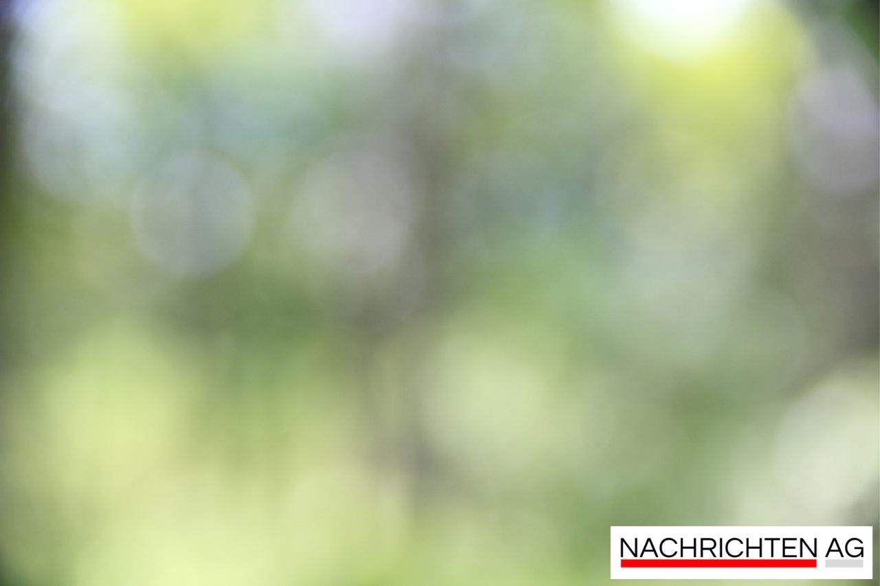 Erleben Sie die Natur: Schafbeweidung zur Landschaftspflege in Chemnitz!