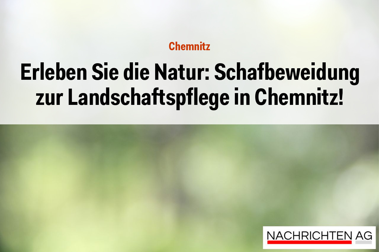 Erleben Sie die Natur: Schafbeweidung zur Landschaftspflege in Chemnitz!
