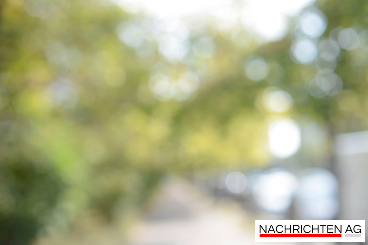 Waldkindergarten Wörth sucht engagierte Assistenzkraft – Jetzt bewerben!